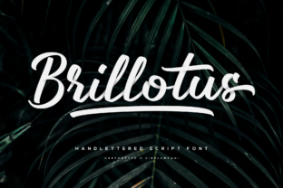 Brillotus: The Handwritten Font That Feels Like a Real Person Wrote It