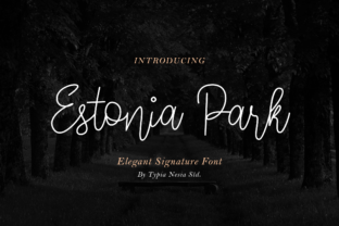 Estonia Park: A Unique Font for Design Projects